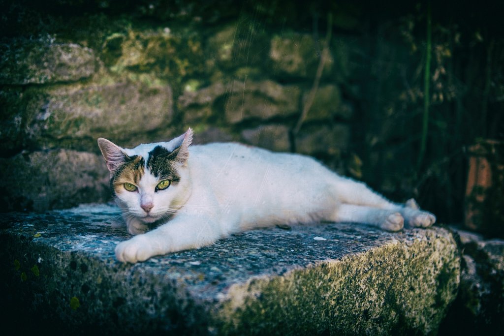 Pose naturelle...